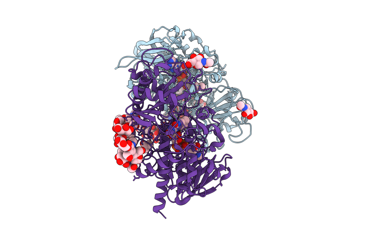 1JU2 image