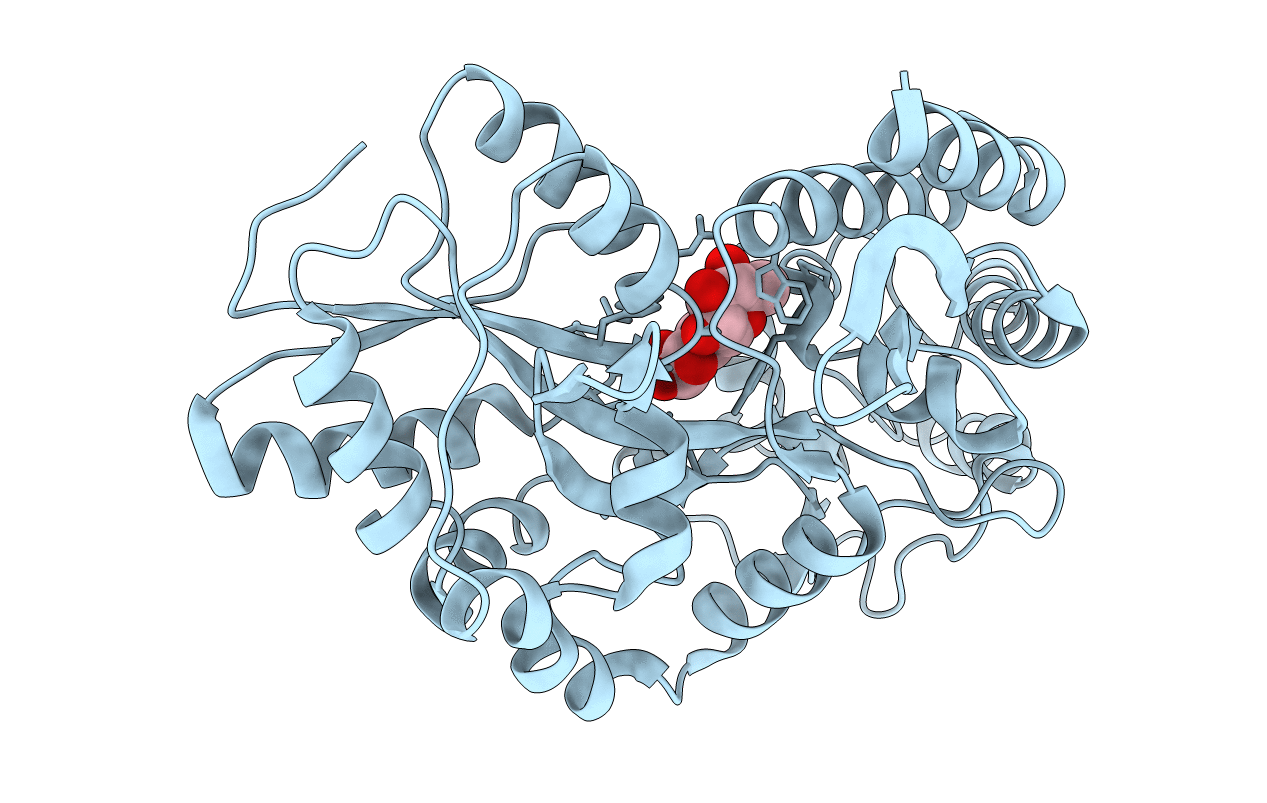 1JVX image