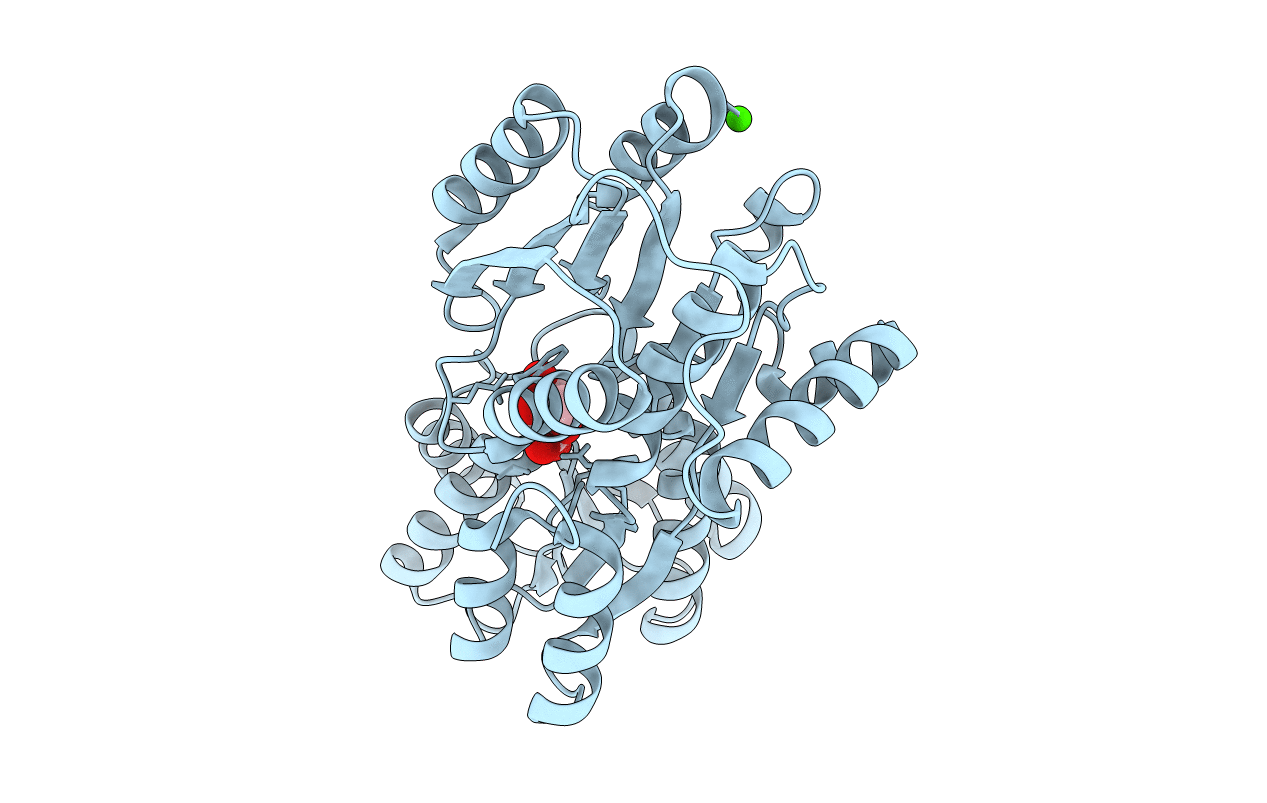 1JX6 image
