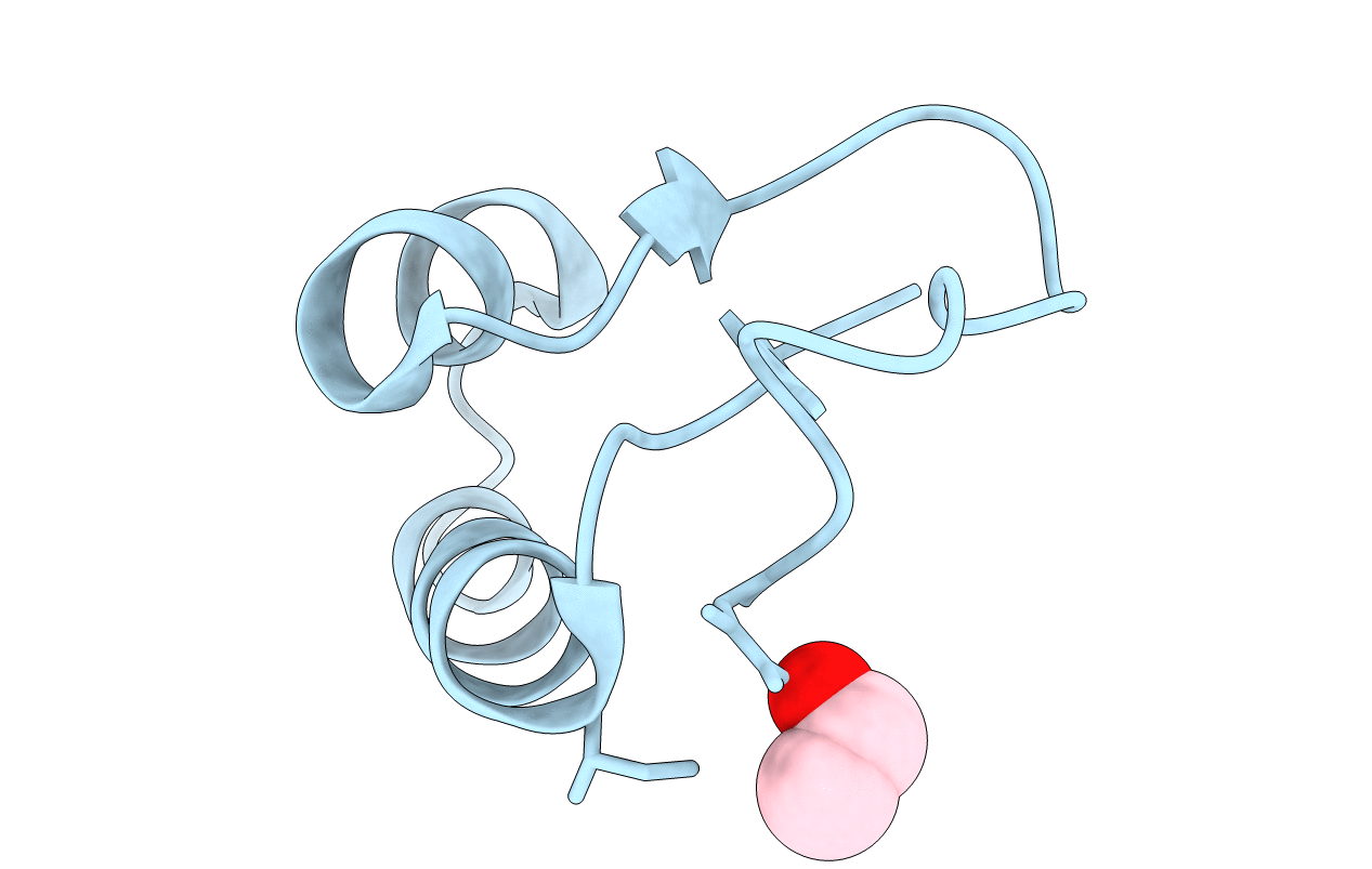 1JXW image