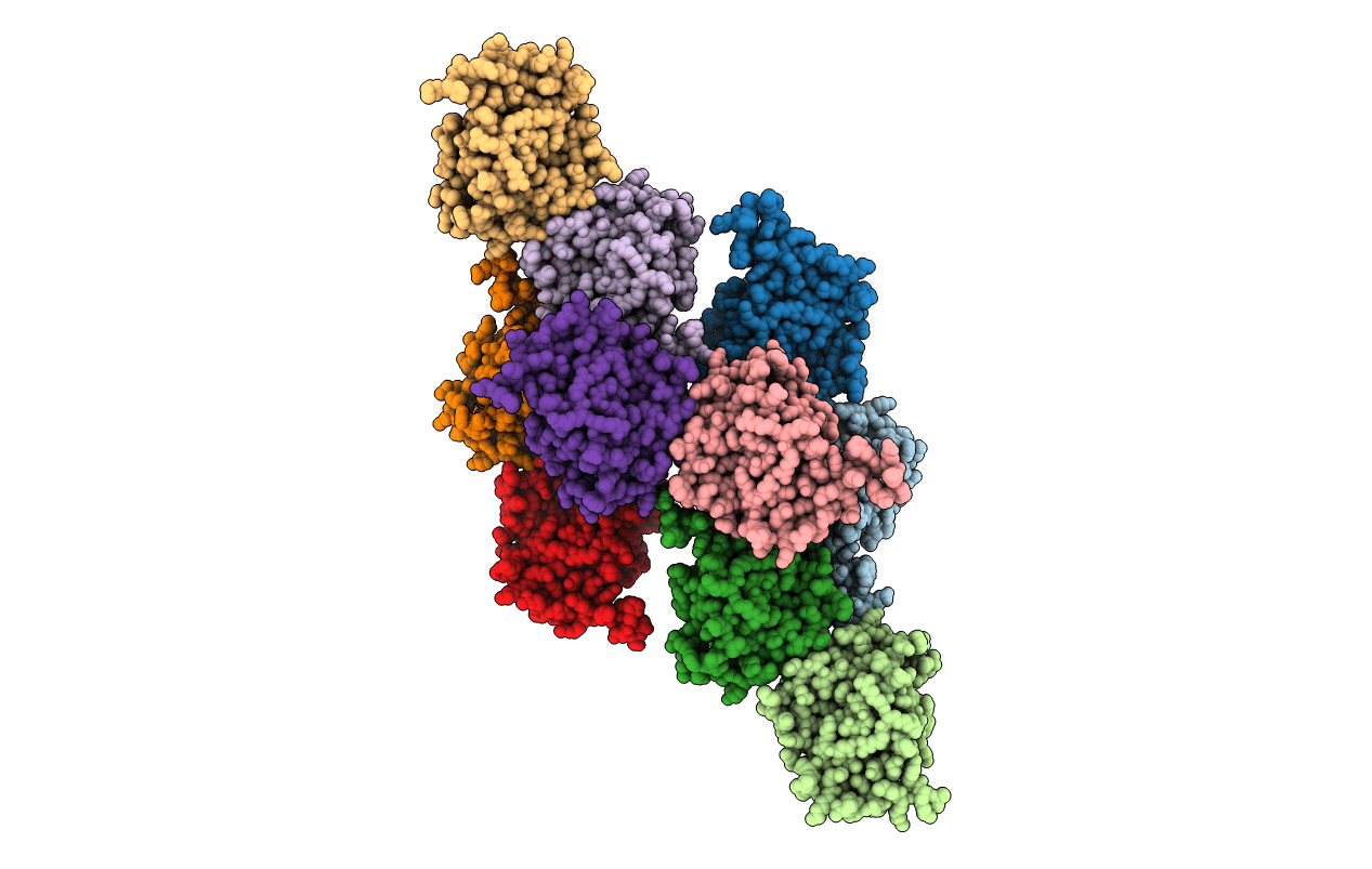 1JYM image