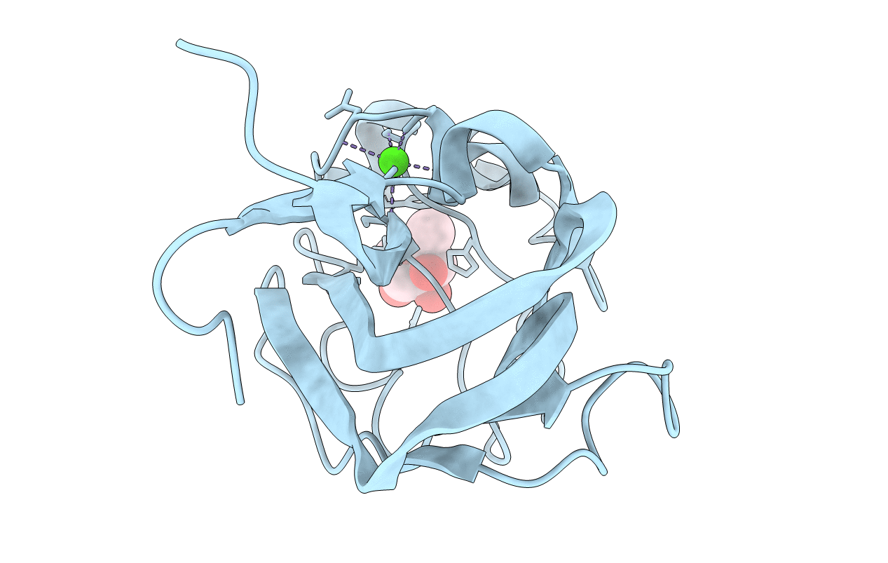1K12 image