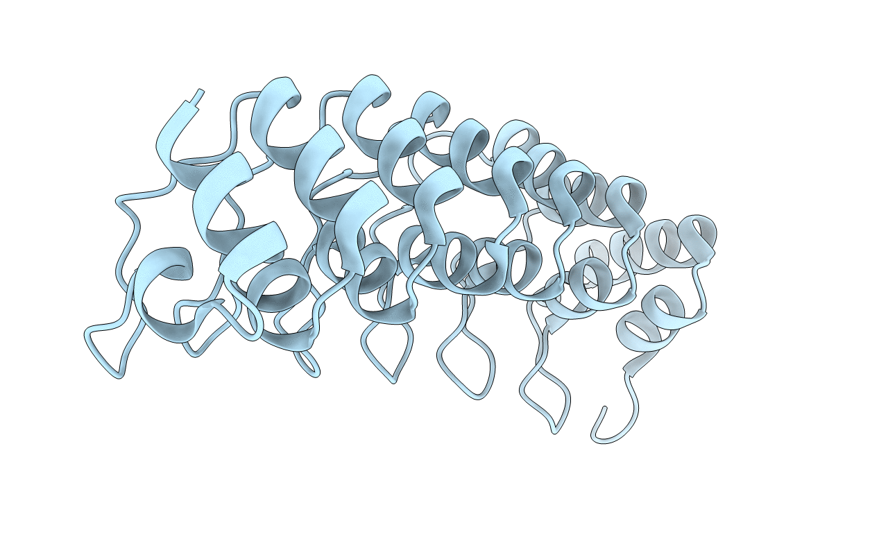 1K1B image