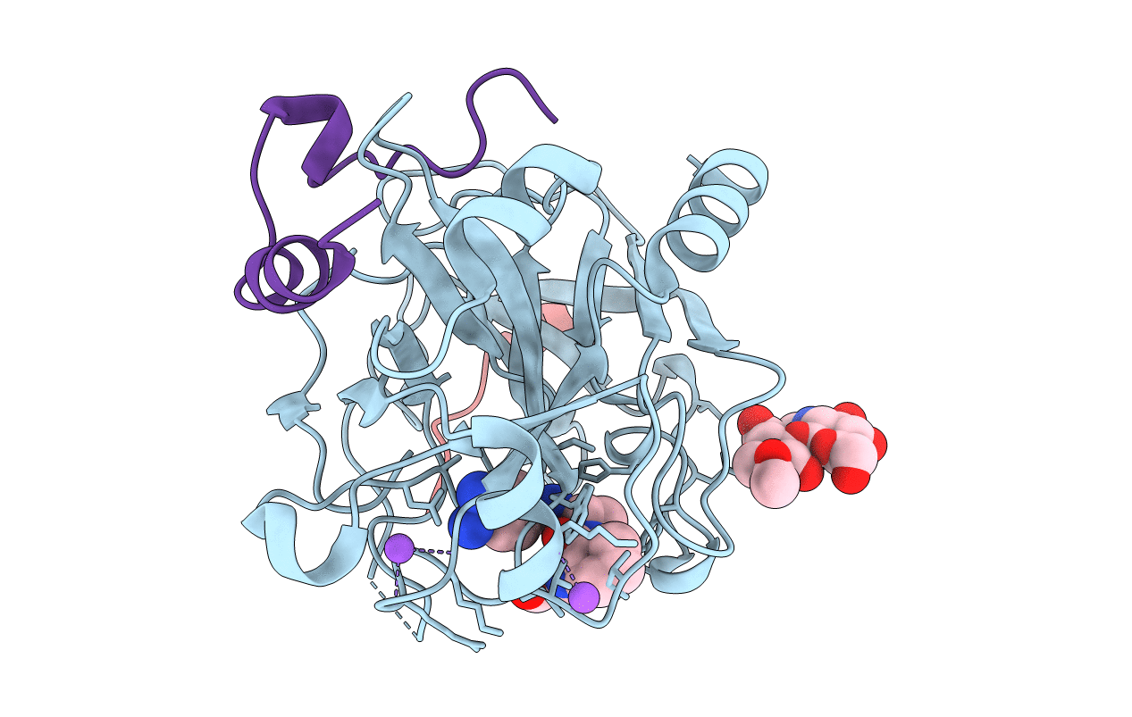 1K22 image