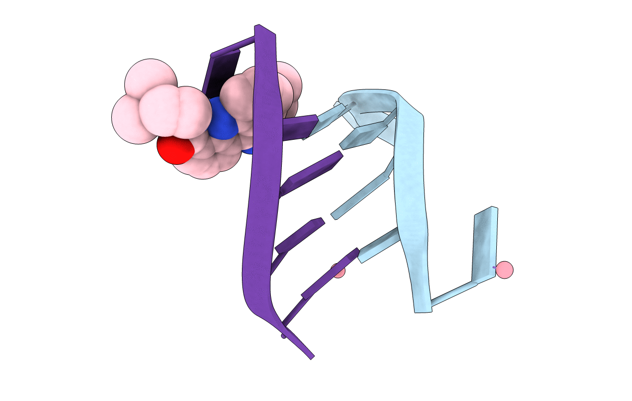 1K2L image