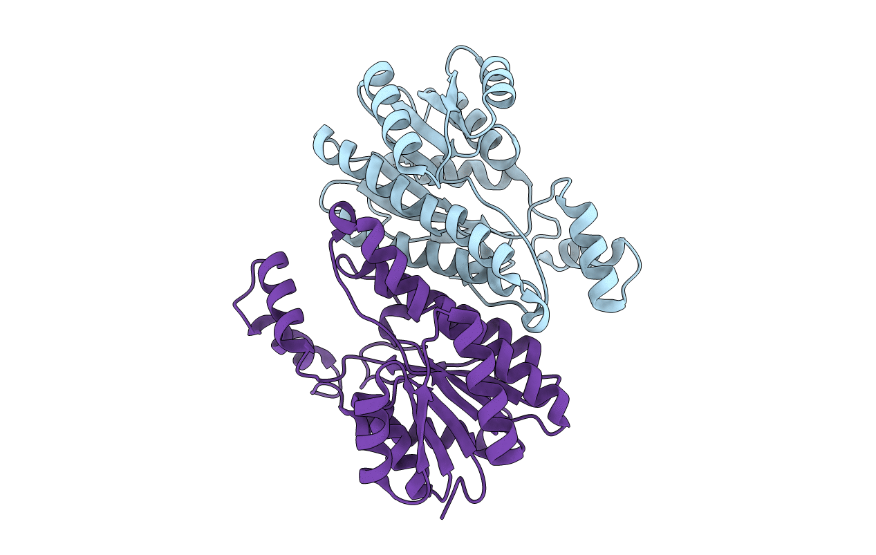 1K2W image