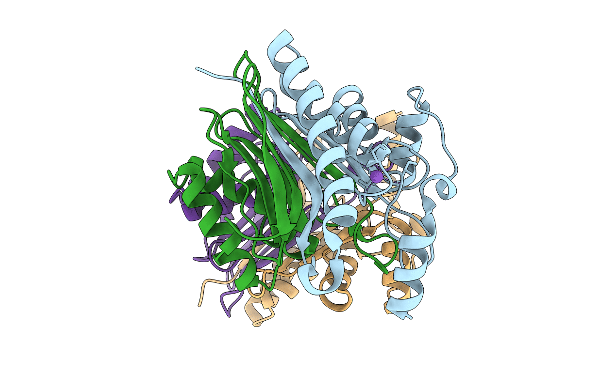 1K2X image