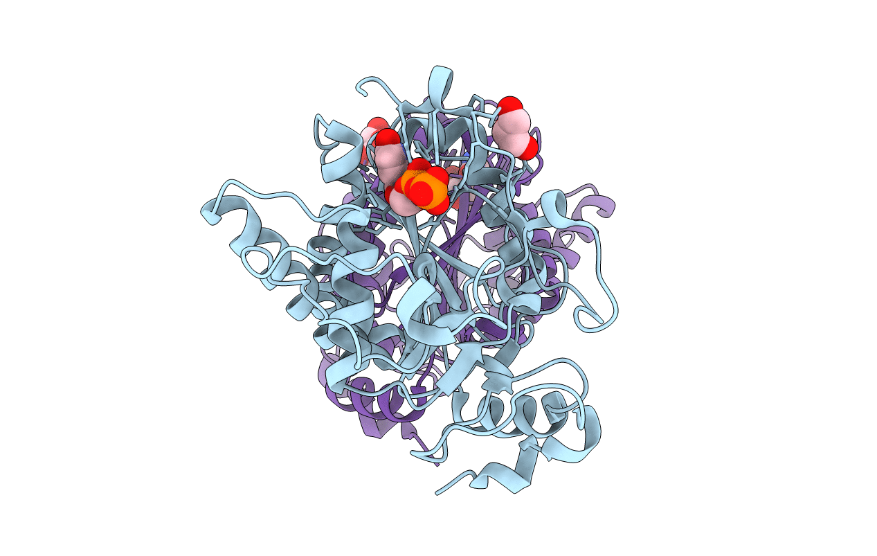 1K4V image