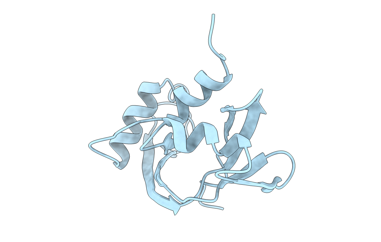 1K58 image
