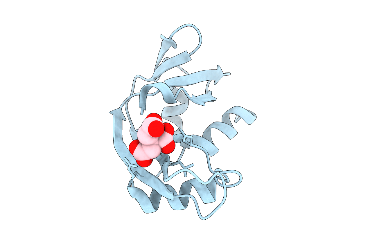 1K5B image