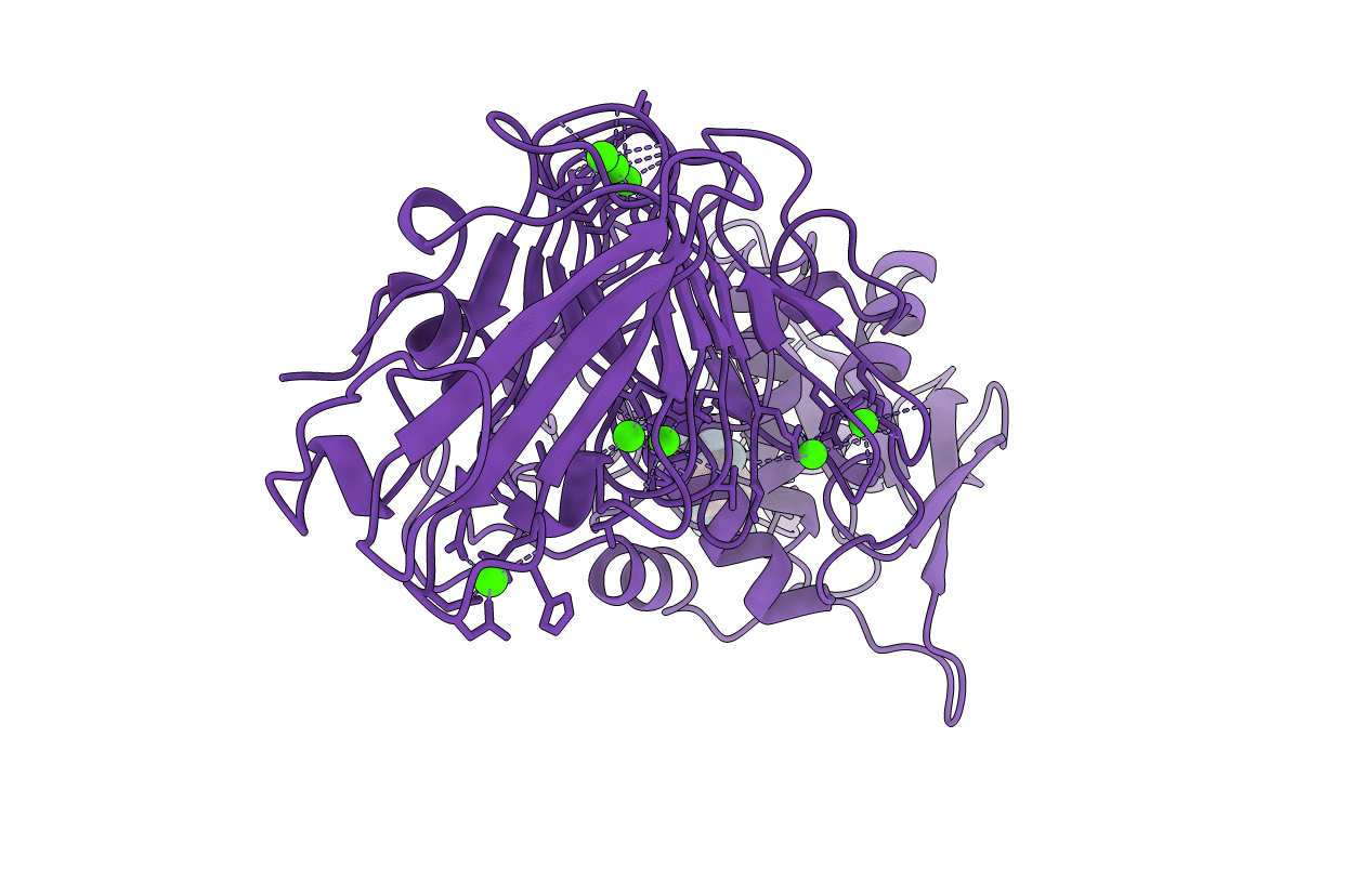 1KAP image