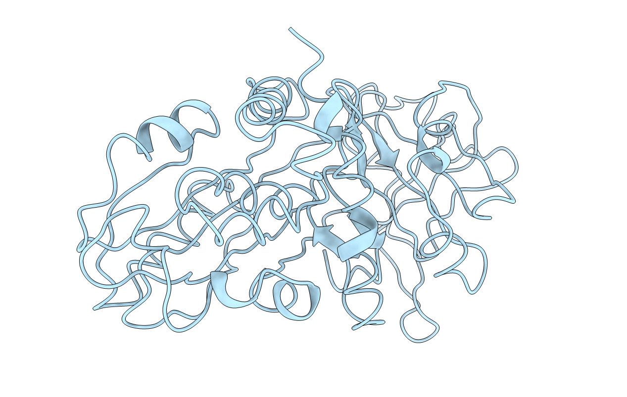 1KCT image