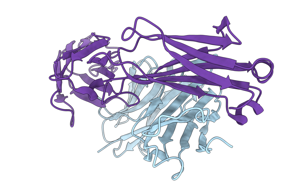 1KCV image