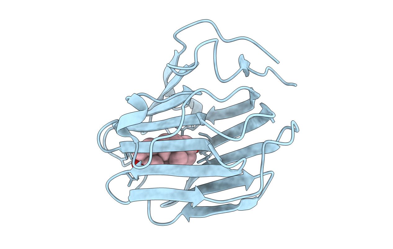 1KDK image