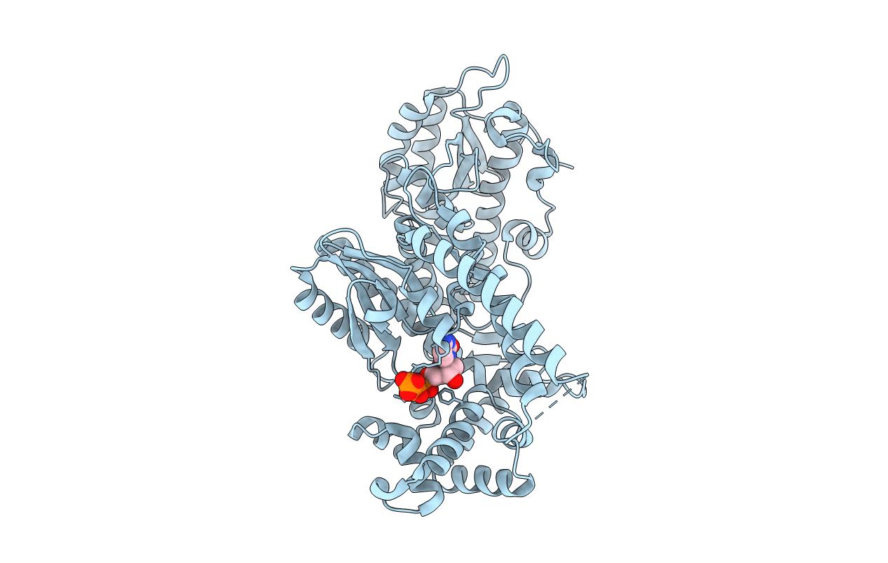 1KFD image