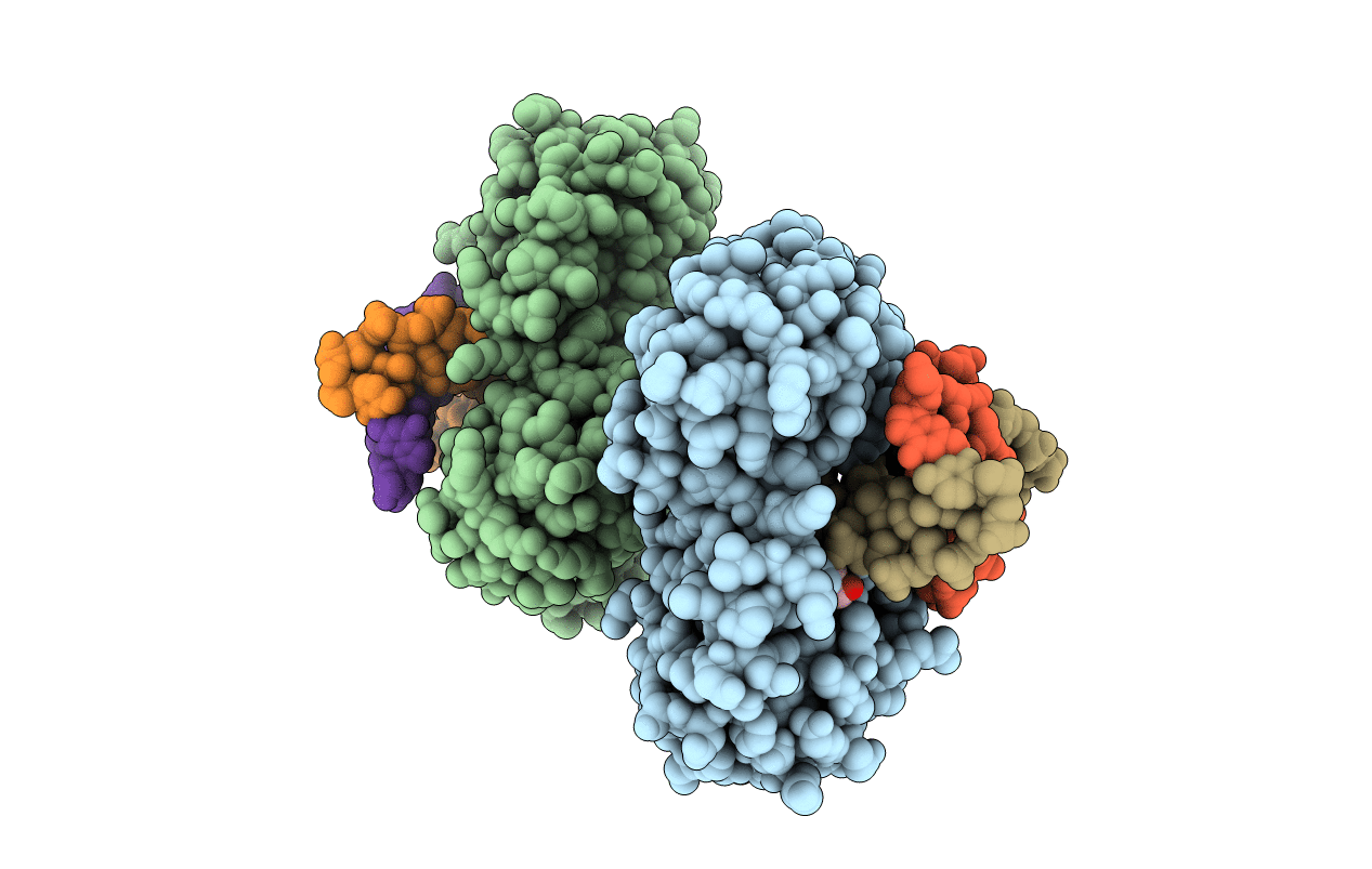 1KFV image