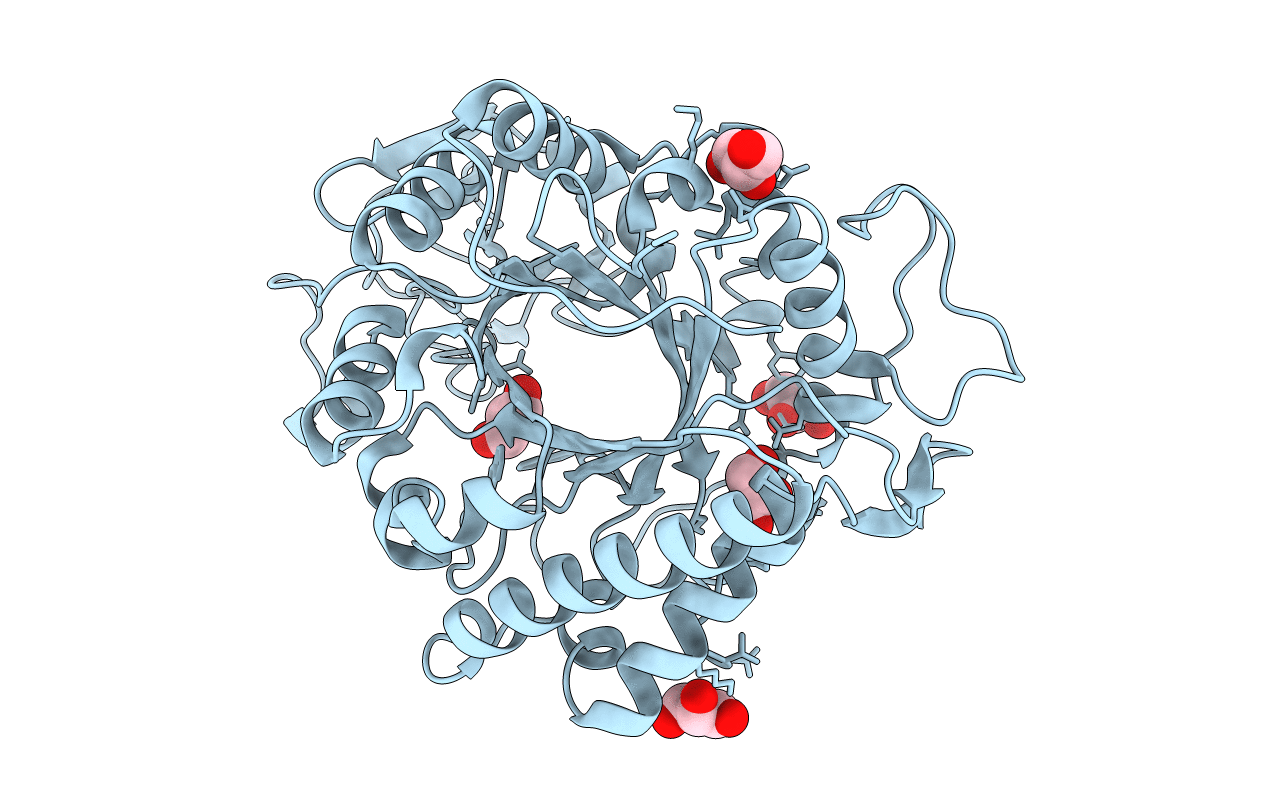 1KFW image
