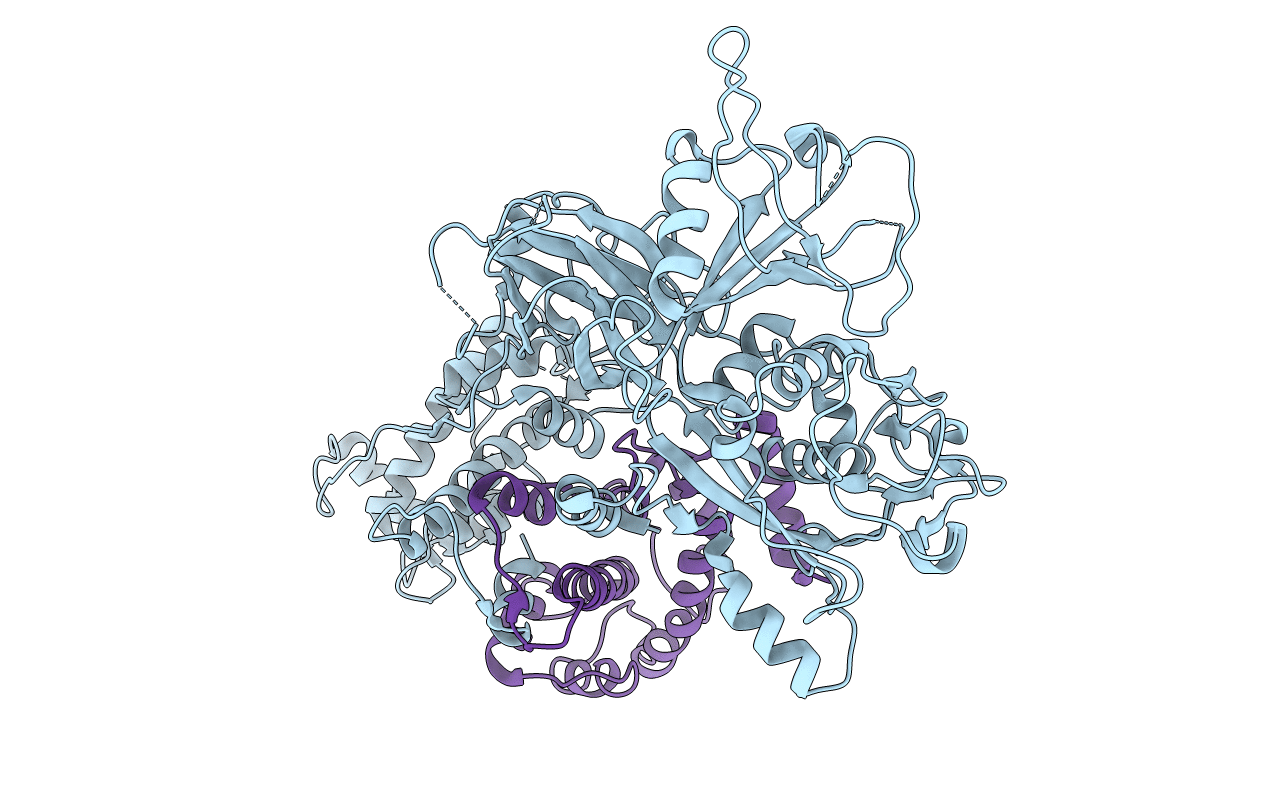 1KFX image