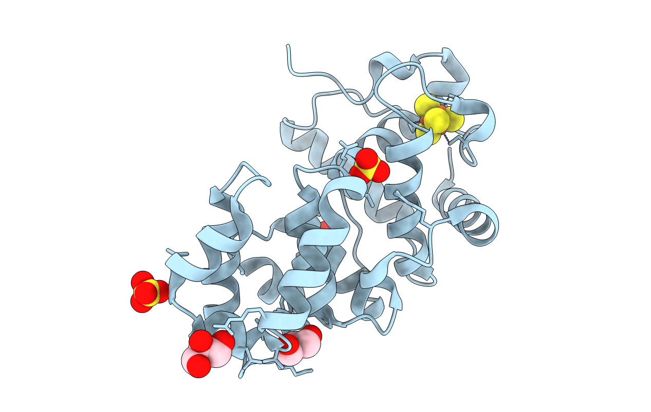 1KG2 image