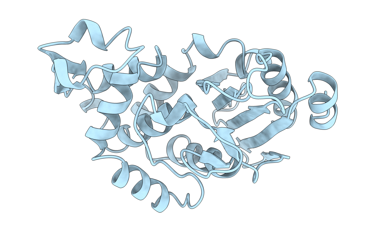 1KGF image