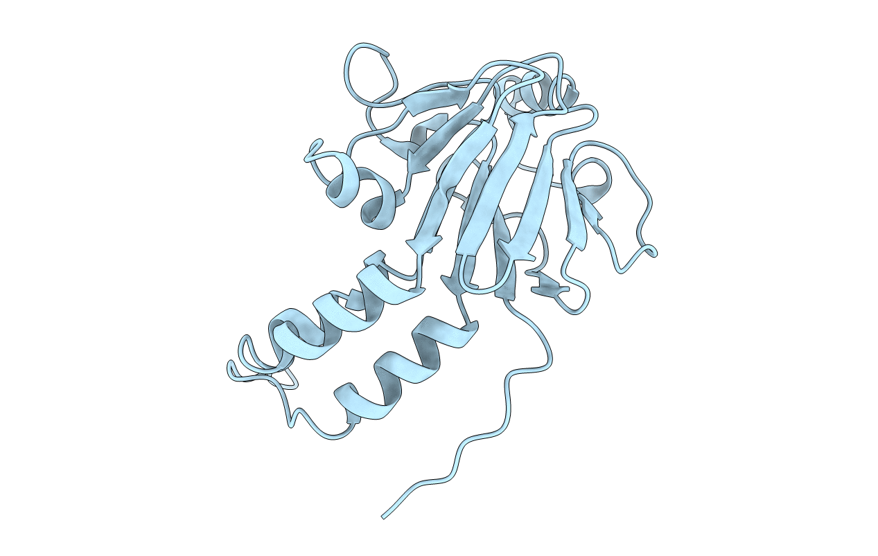 1KHX image
