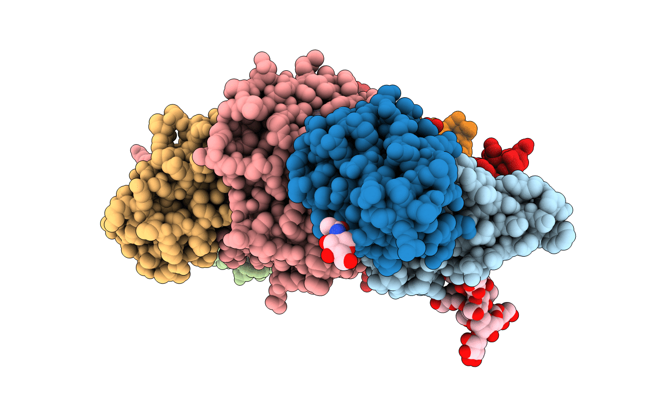 1KJ2 image