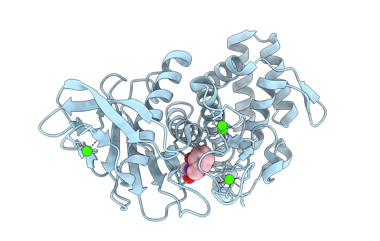 1KJO image
