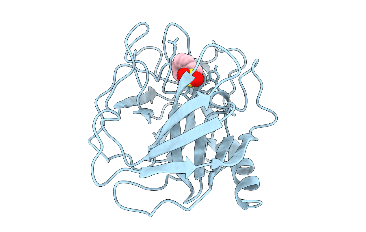 1KLT image