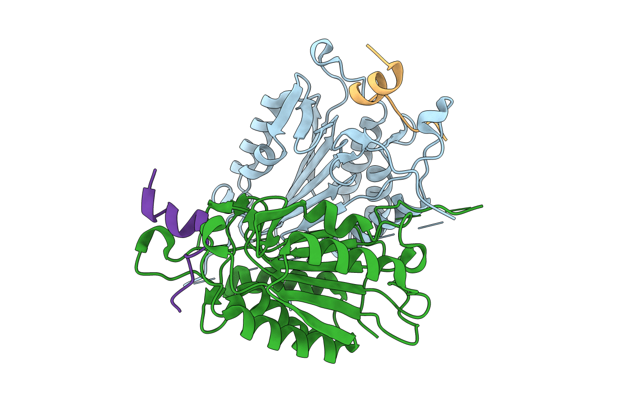 1KMC image