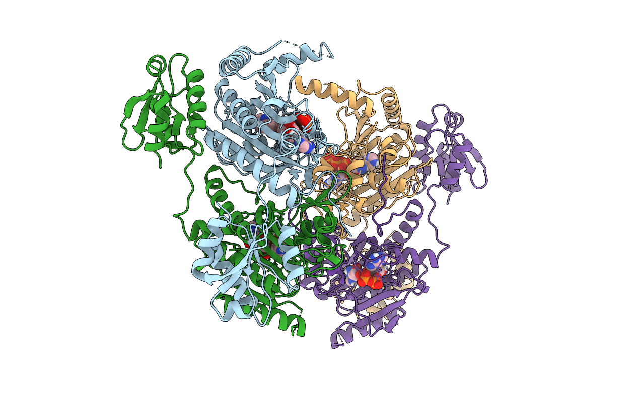 1KMN image