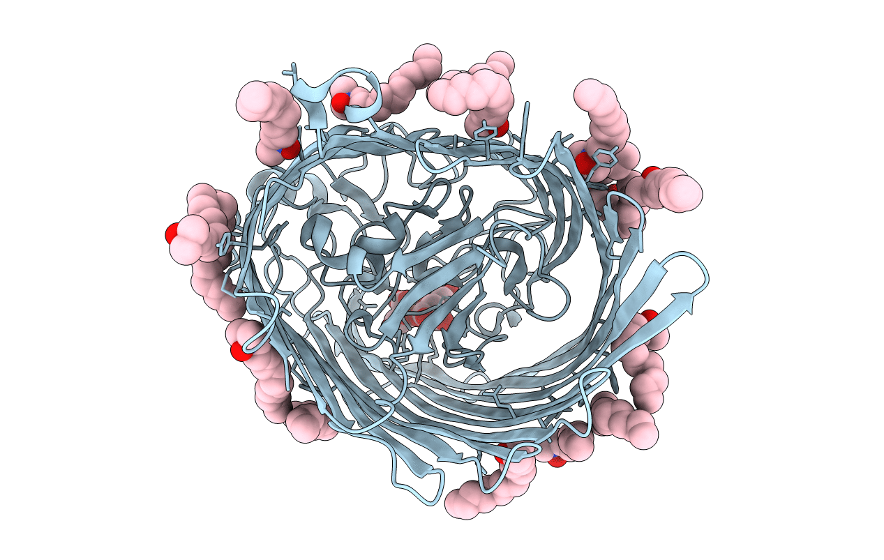 1KMP image