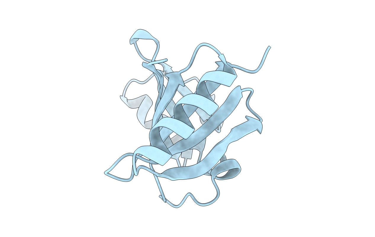 1KMZ image