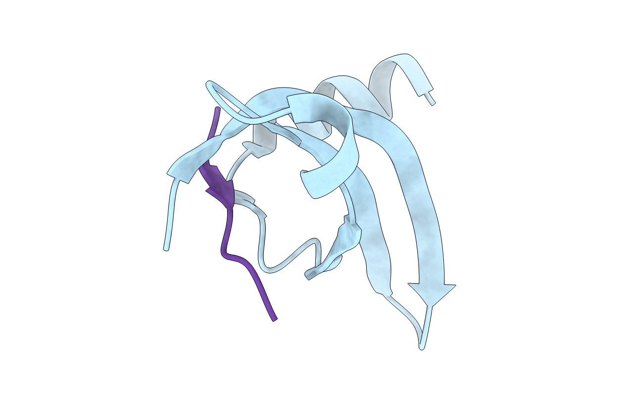 1kna image
