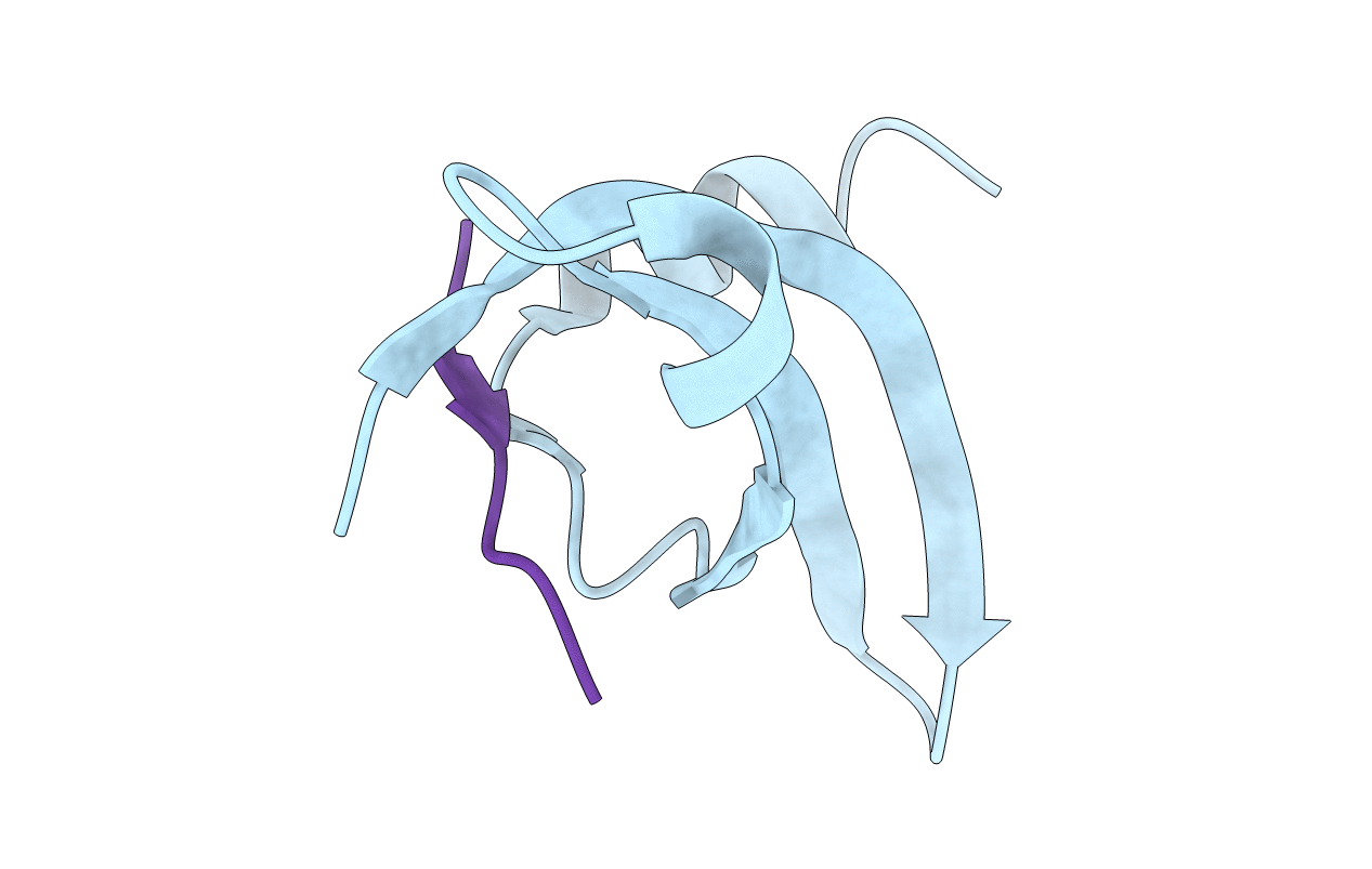 1kne image