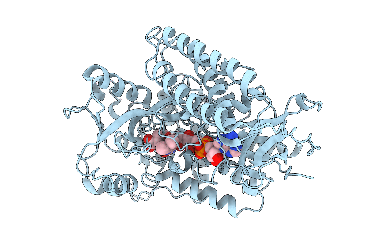 1KNP image