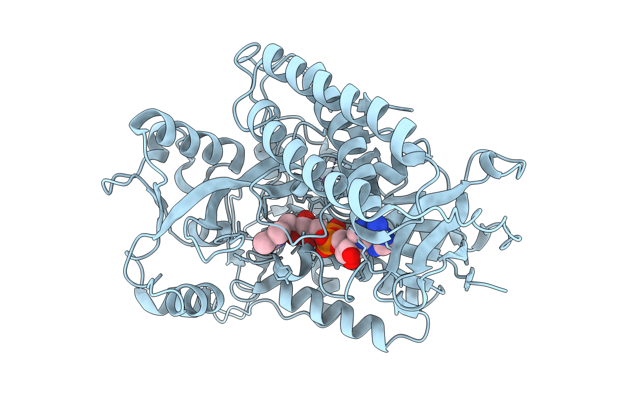 1KNR image