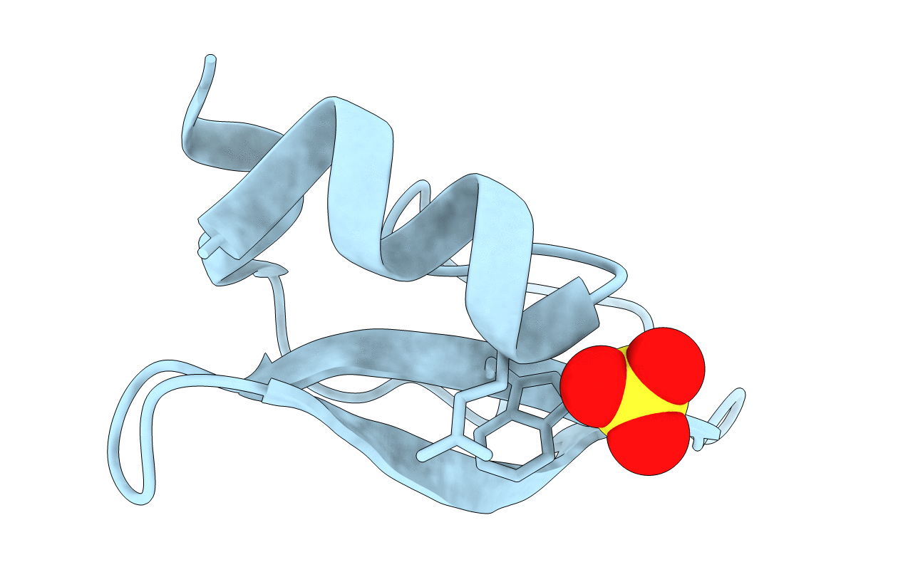 1KNT image