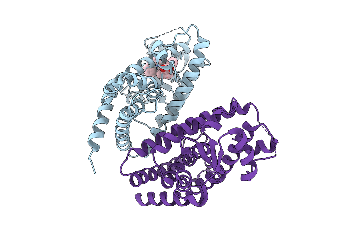 1KNU image