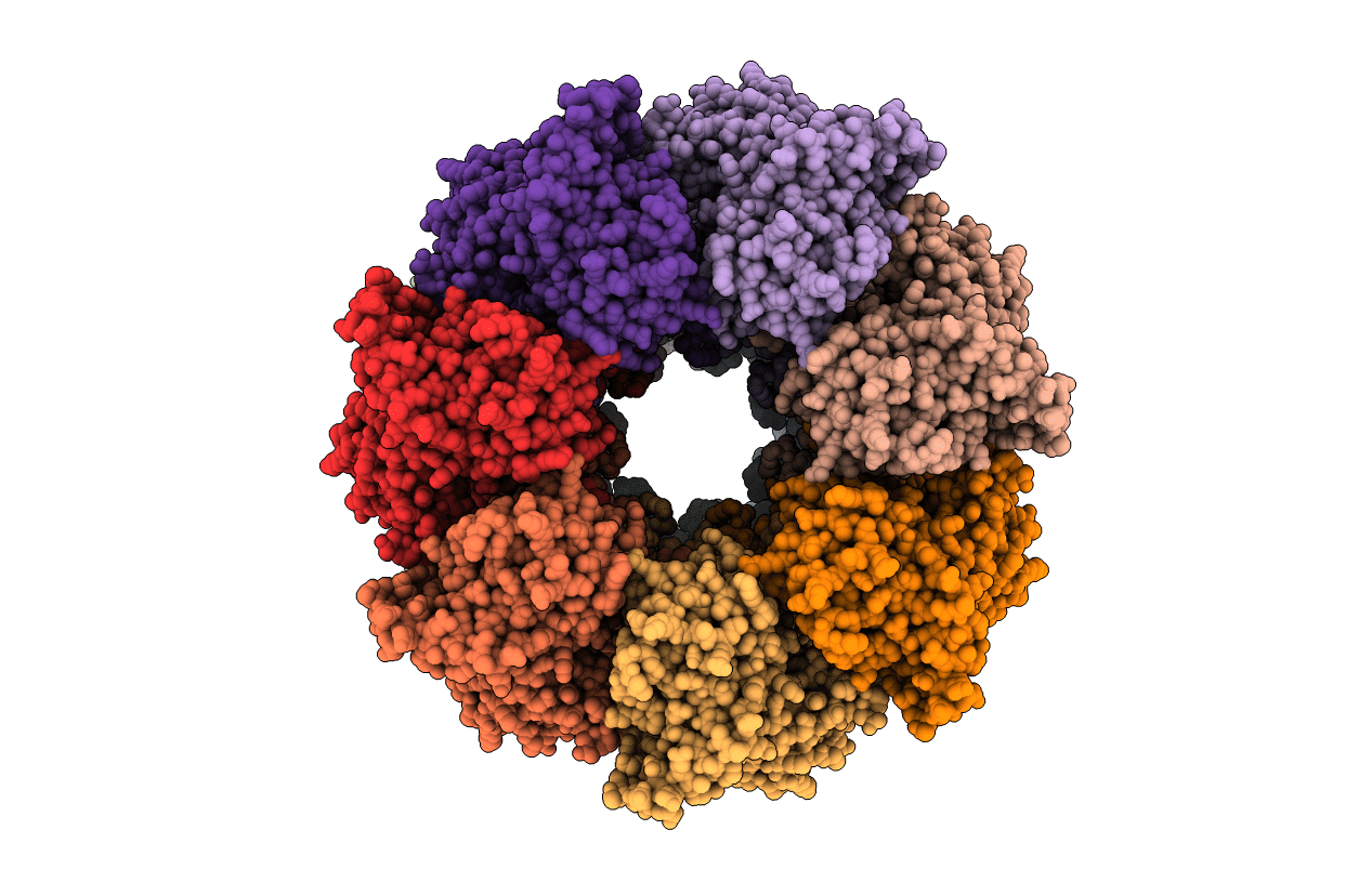 1KP8 image