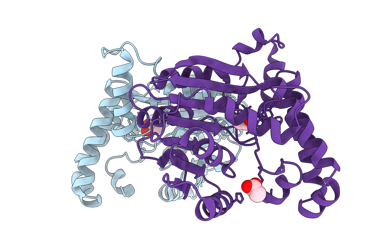 1KP9 image
