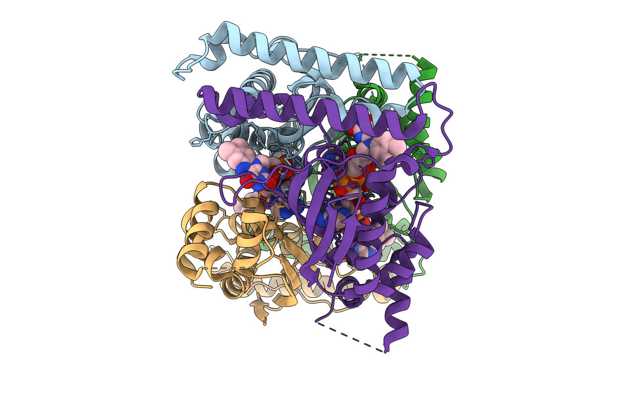 1KQ4 image