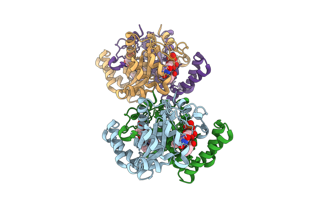 1KQB image