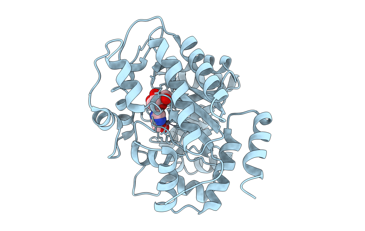 1KRM image