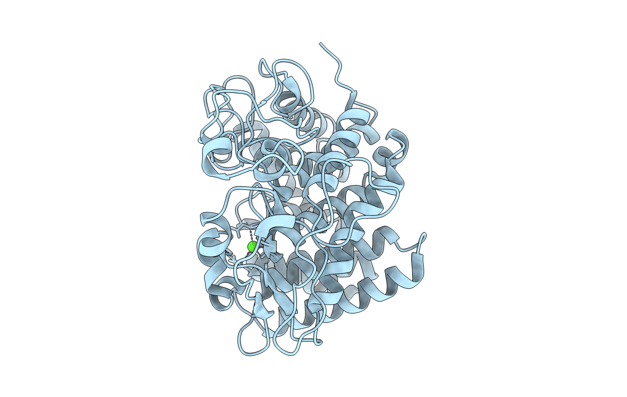 1KSD image