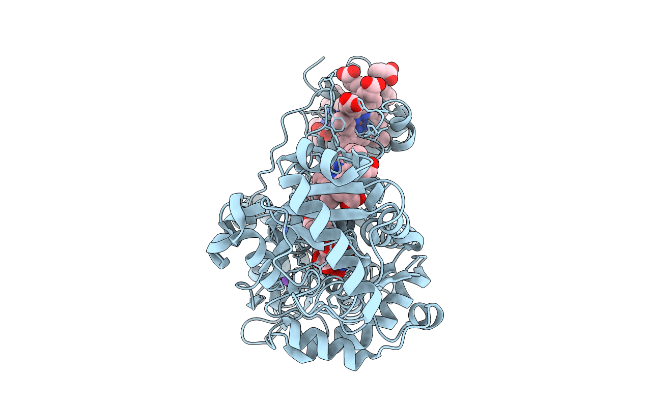1KSS image