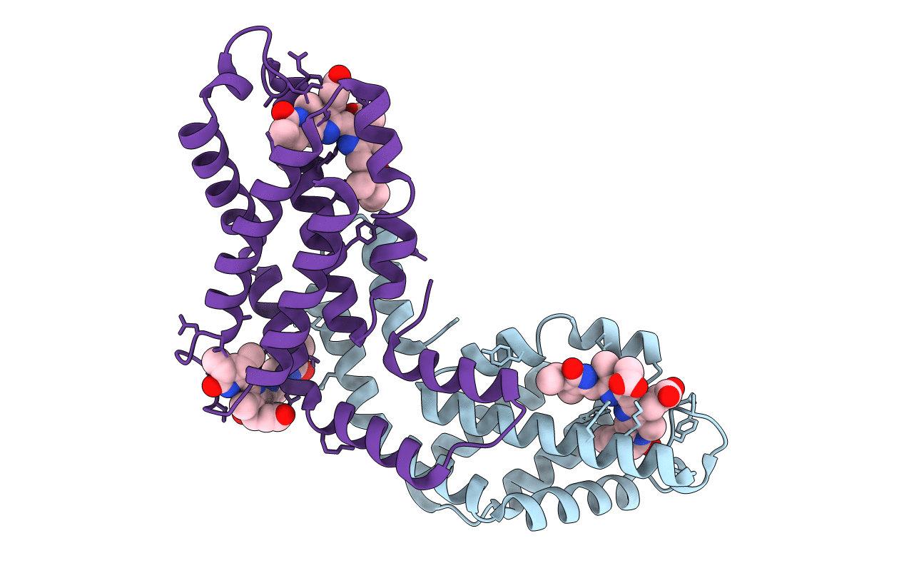 1KTP image