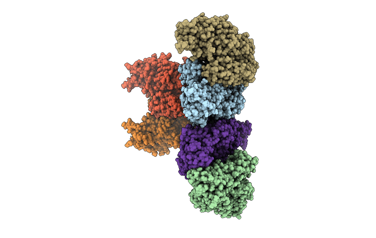 1KV3 image