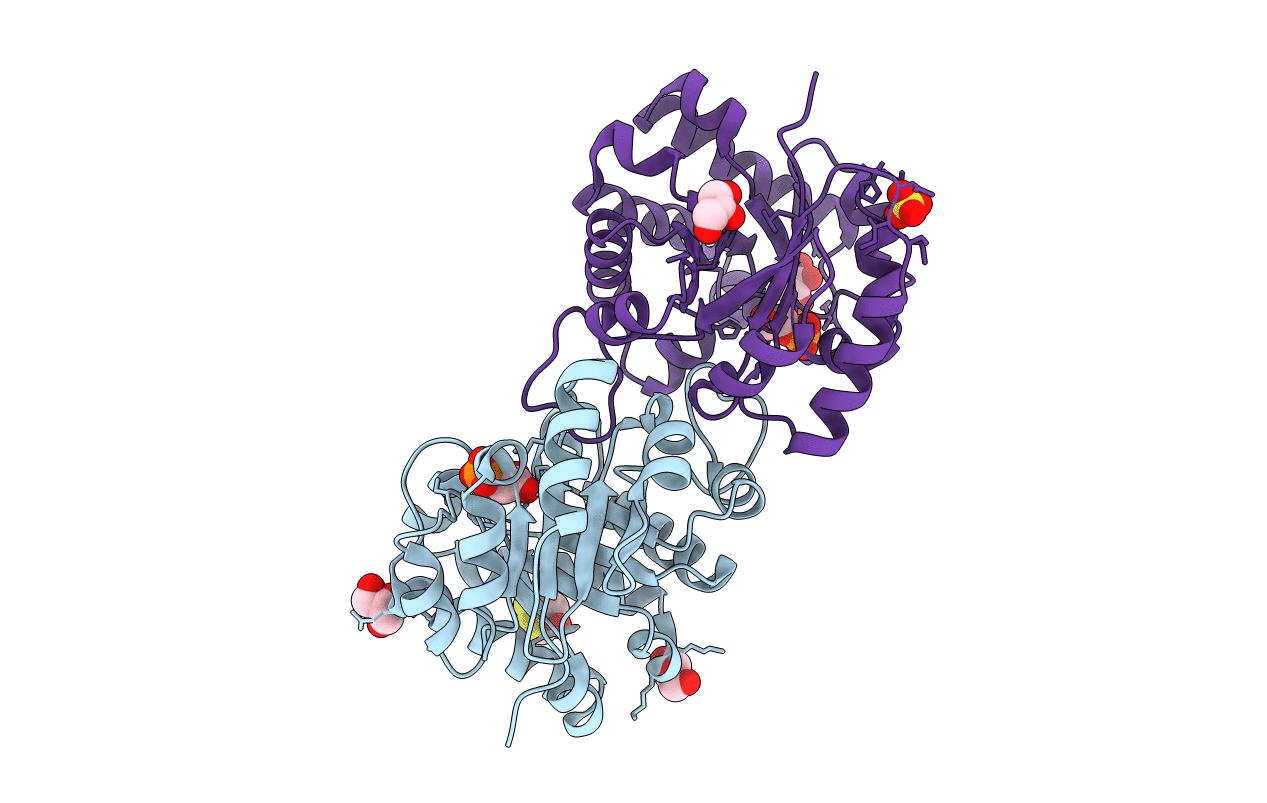 1KV5 image