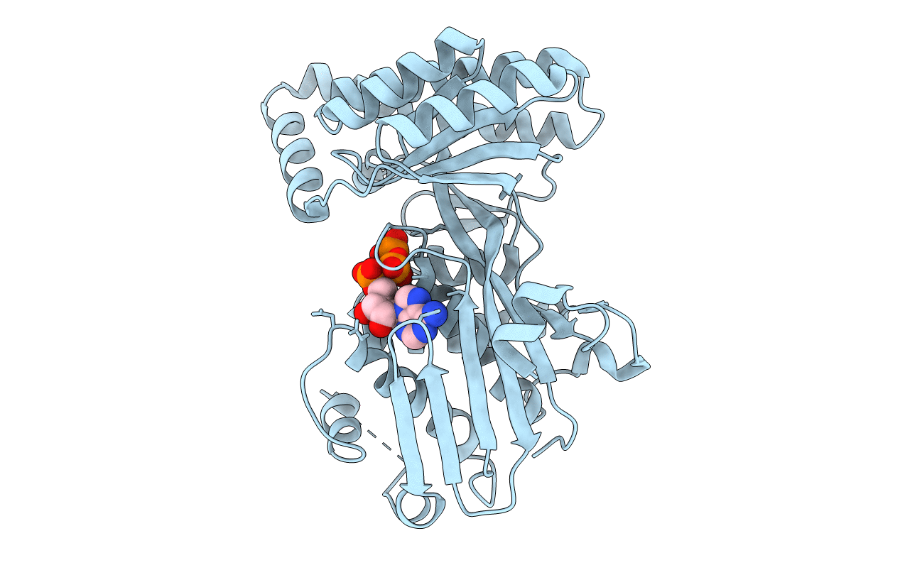 1KVK image