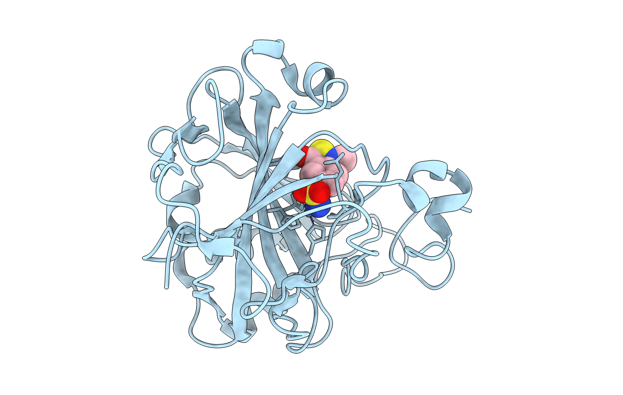 1KWR image